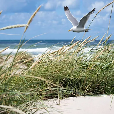 In Belgium With Cozy Patio * Knokke-Heist